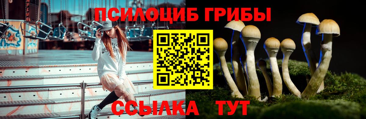 Галлюциногенные грибы мицелий Светлоград