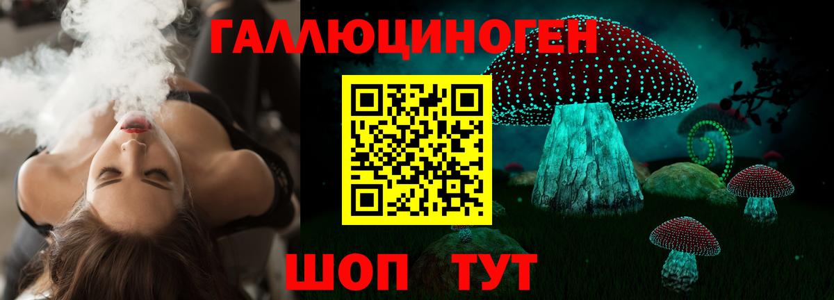 где продают наркотики  Псилоцибиновые грибы прущие грибы  Вход с VPN  Псилоцибиновые грибы MAGIC MUSHROOMS  Светлоград 